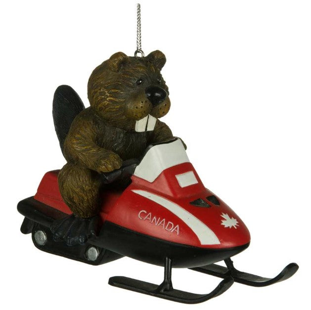 Beaver on Ski-Doo