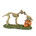 Haunted pets at play d56