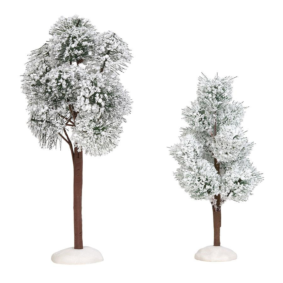 Snowy jack pine trees department 56